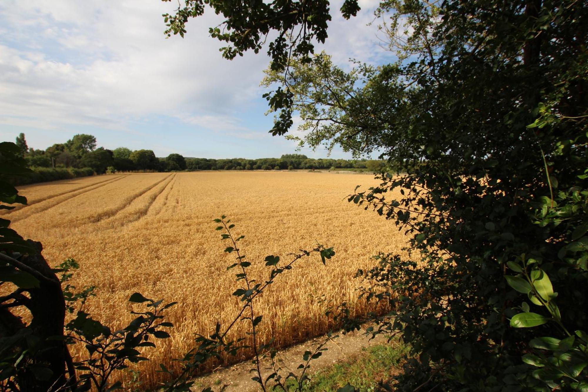 Cowslip Barn Annexe, Countryside Stay Near شيشستر المظهر الخارجي الصورة